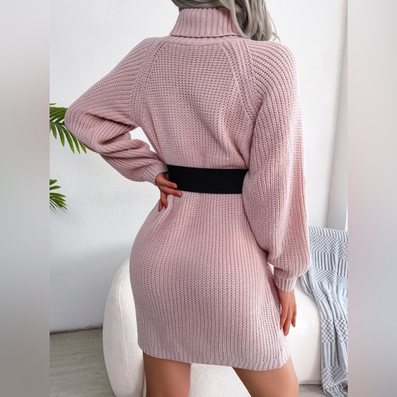 Winter Warmth Turtleneck Sweater Dress Mini - Picture 3 of 3
